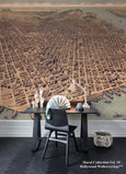 A City Rises Sepia Map